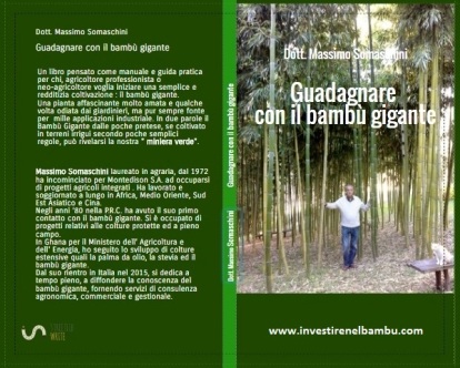 Guadagnare con il bambù gigante autore Massimo Somaschini
