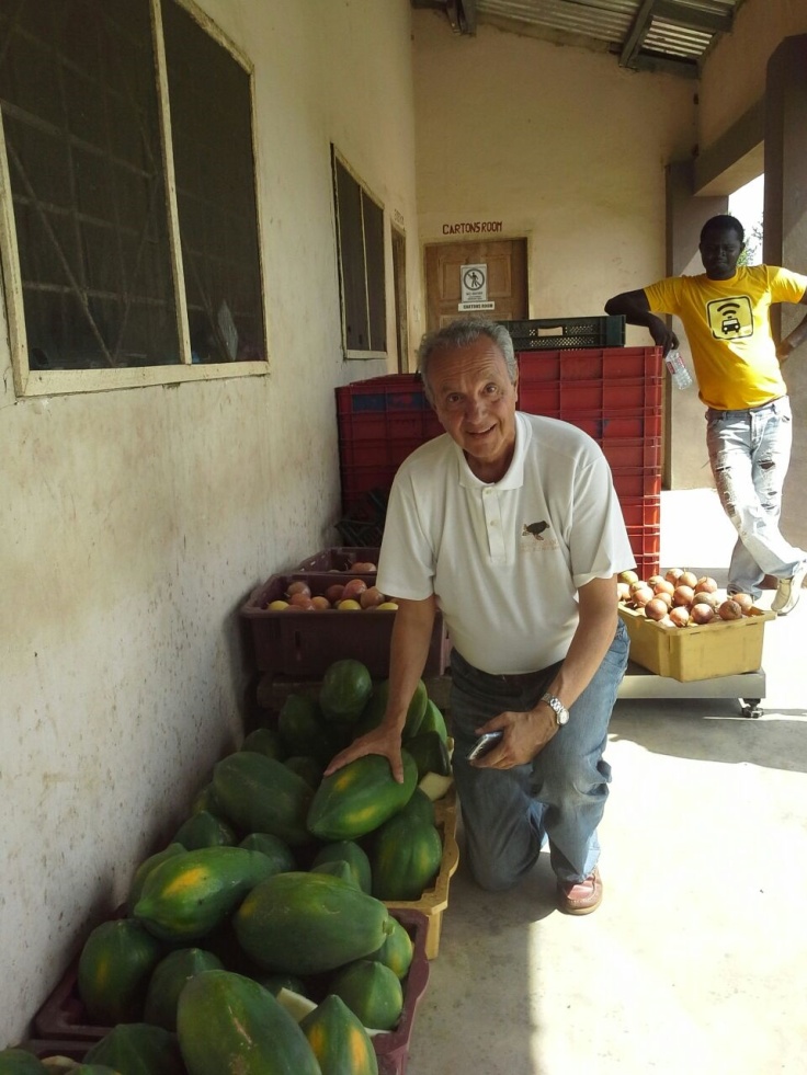 Massimo Somaschini piantagione papaya in Ghana